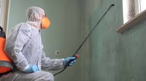 Why You Should Choose Our Mold Remediation Services in College Park, GA